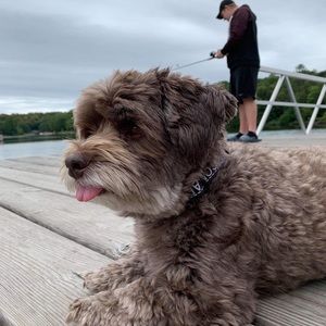 Meet your Posher, Andrew